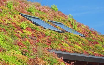 Leachkin living roof systems