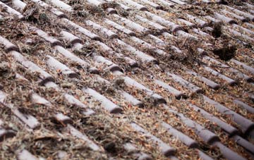 Leachkin roof cleaning companies